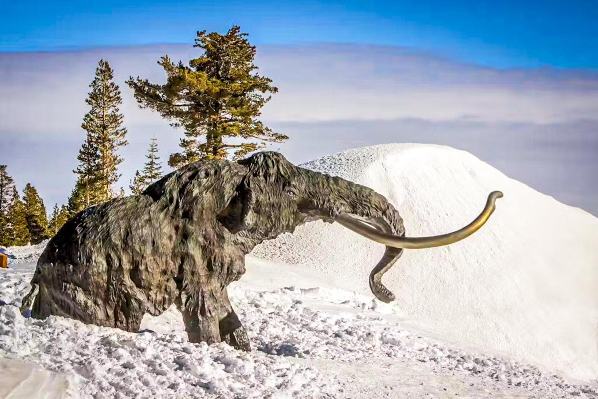 Discovery 4 119 Mammoth Lakes Exterior photo
